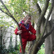 Tree climbing